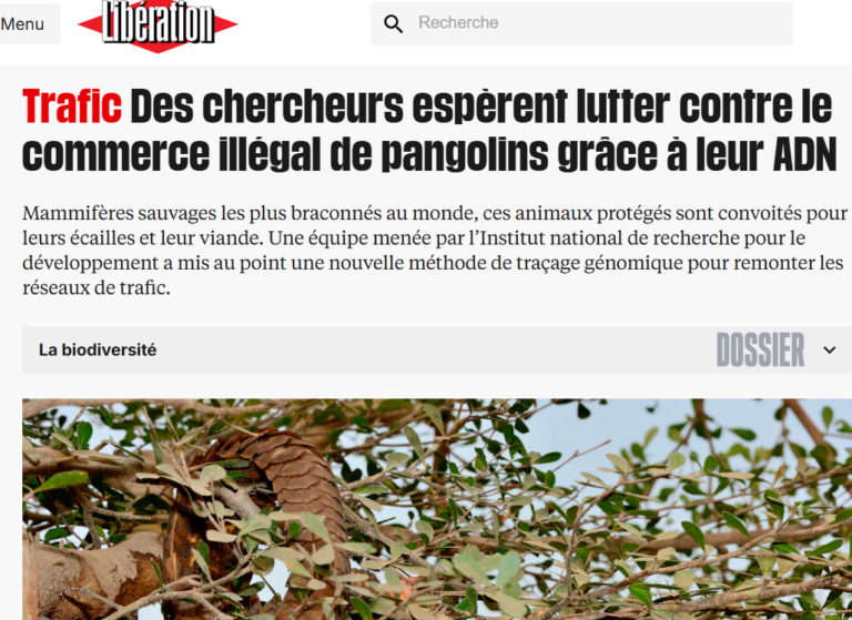 Libération