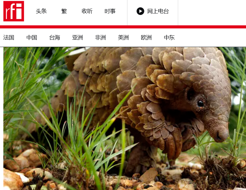 RFI China